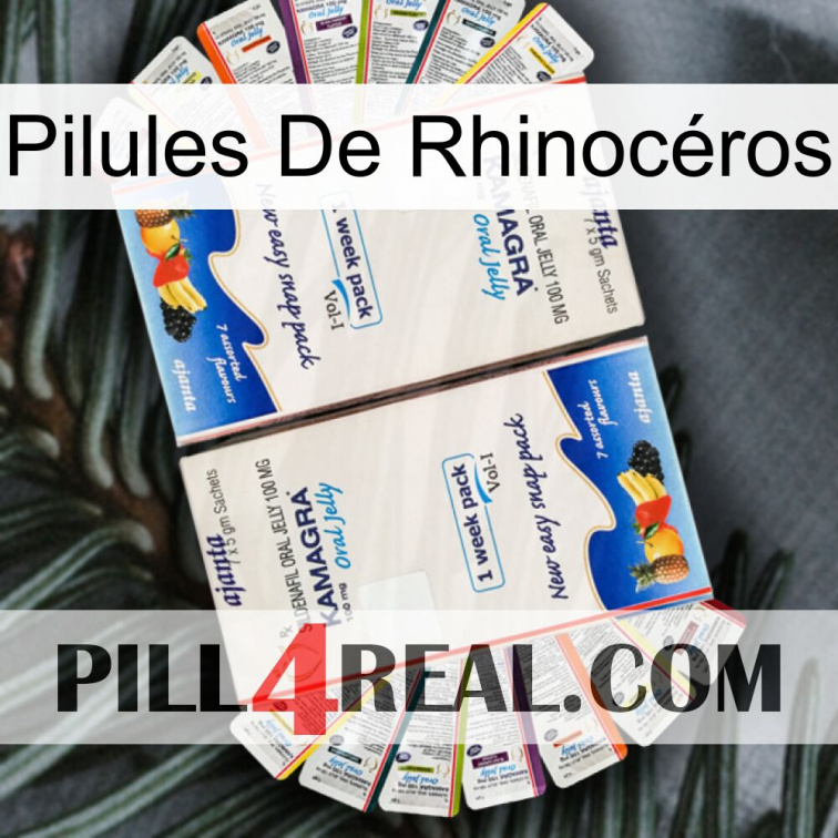 Pilules De Rhinocéros kamagra1